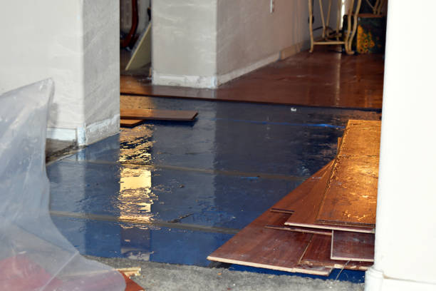 Professional Flood Cleanup technician working in Byron, MI
